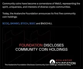 Avalanche Foundation anuncia posesión de 5 tipos de monedas meme